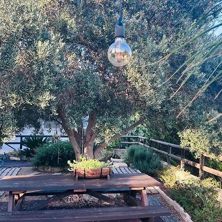 Mountain With Pool דירה Mesoyi